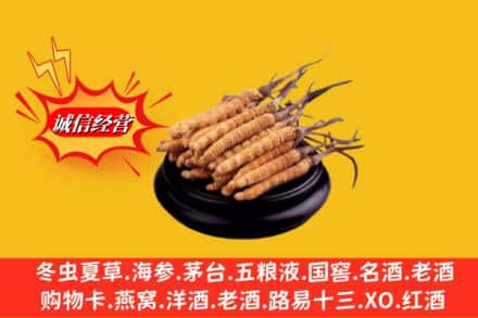 阳江江城区求购回收虫草多少钱每克